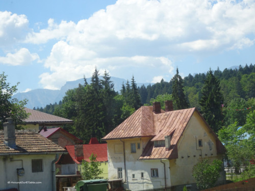 Near Bușteni