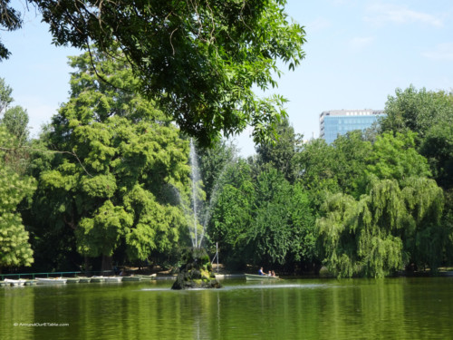 A stroll in a park 