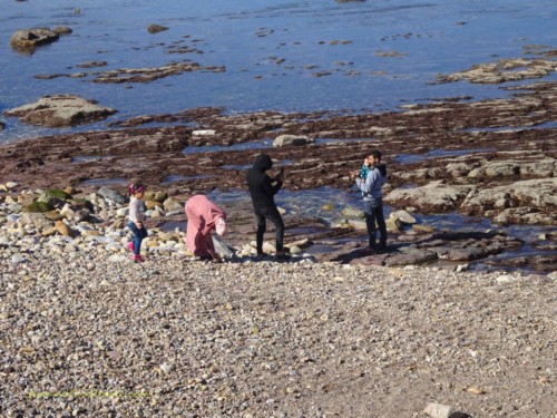 Activities by the promenade