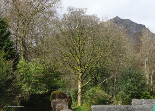 Grasmere