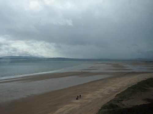 A view from the train