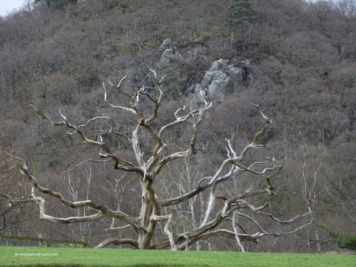 Derwentwater hike view