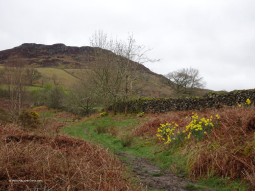 Ashness Bridge hike view