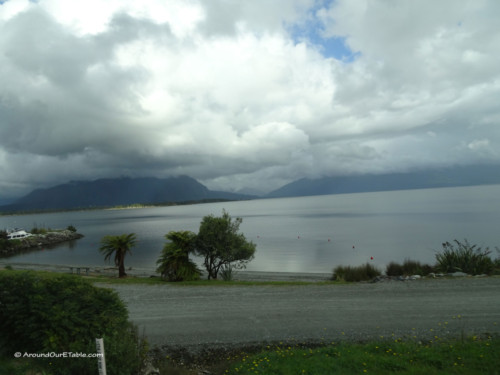 Views from NZ Trains