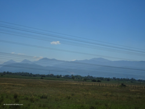 The Carpathians 