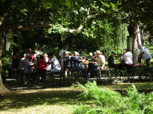 Afternoon in the park