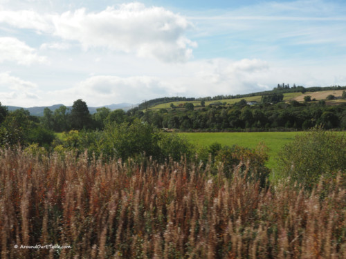 Countryside 