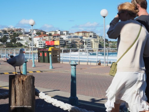 Bondi Beach