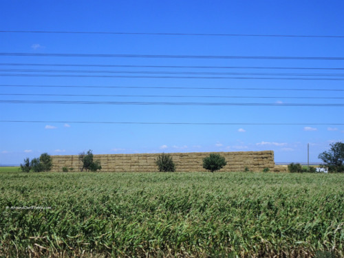 Fields somewhere between Motatei and Bailesti