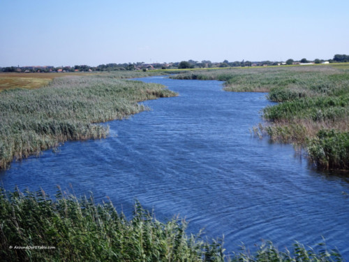 Between Motatei and Afumati