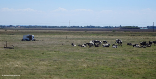 Between Bailesti and Afumati